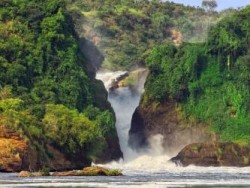 экзотический тур в уганду