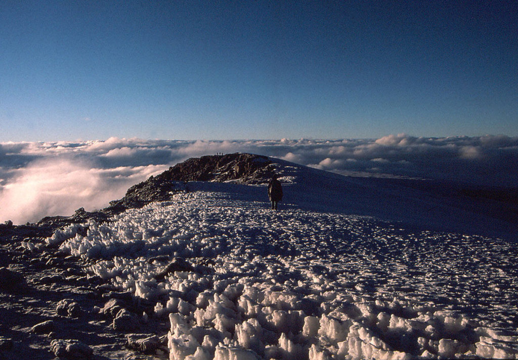 Тур "Восхождение на Килиманджаро" (от 7 дней)