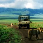 Тур в Африку "Сафари в Танзании и отдых на Занзибаре"