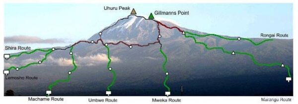 Тур "Восхождение на Килиманджаро" (от 7 дней)